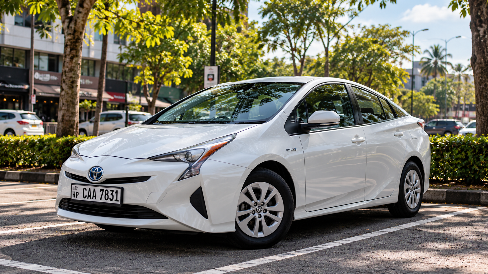 Private cars — image supplied by Andriana Tours